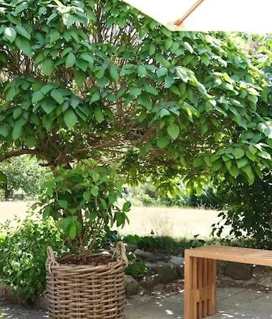 Villa Modern Nordic Near And Svanninge Hills With Free Parking *