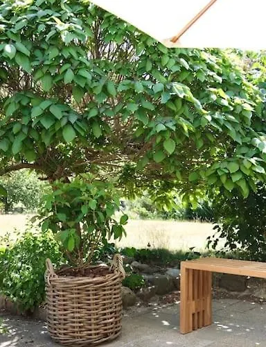 Villa Modern Nordic Near And Svanninge Hills With Free Parking *