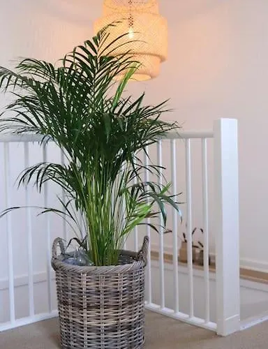 Modern Nordic Near And Svanninge Hills With Free Parking 빌라